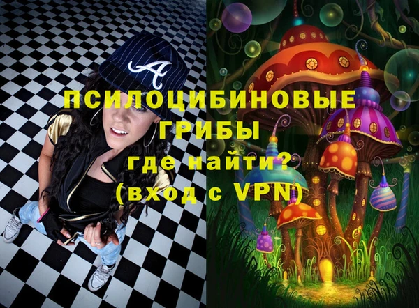 амф Ладушкин