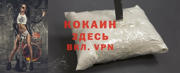 амф Ладушкин
