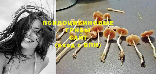 СК Кукмор