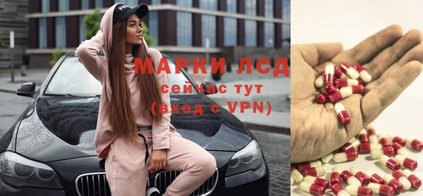 амф Ладушкин