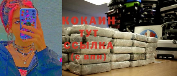 мдпв Кулебаки