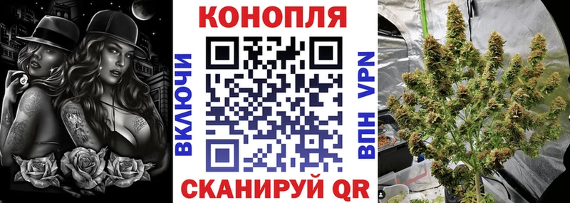 продажа наркотиков  Кочубеевское  Шишки марихуана сатива 